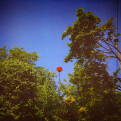 Benoit Pioulard - Sonnet LP