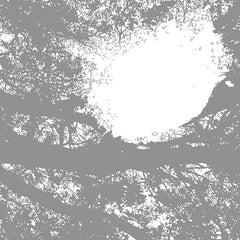 Comets On Fire - Field Recordings From The Sun LP