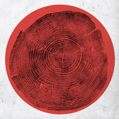 Roy Montgomery - Q: Transient Global Amnesia LP