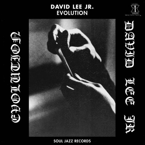 David Lee Jr. - Evolution LP