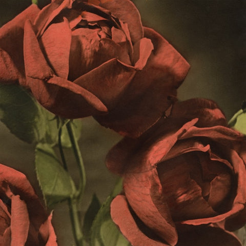 Cindy - Another Country LP