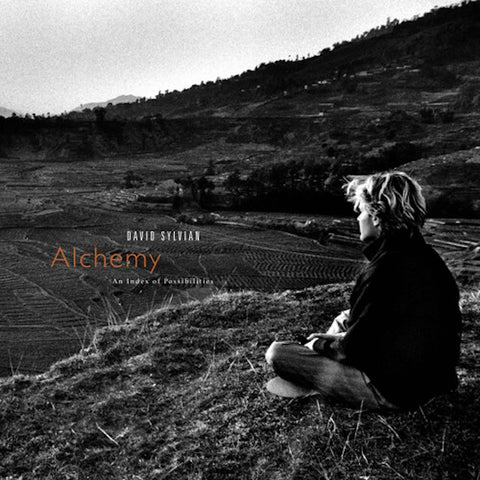 David Sylvian - Alchemy: An Index of Possibilities LP