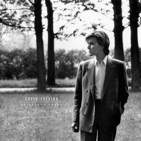 David Sylvian - Brilliant Trees LP