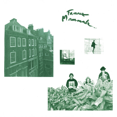 Famous Mammals  - s/t LP