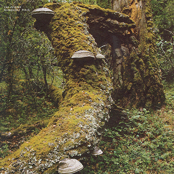 福袋 セール Jan Records Stranded - Faitiche LP Pitch Kosmischer - Jelinek その他