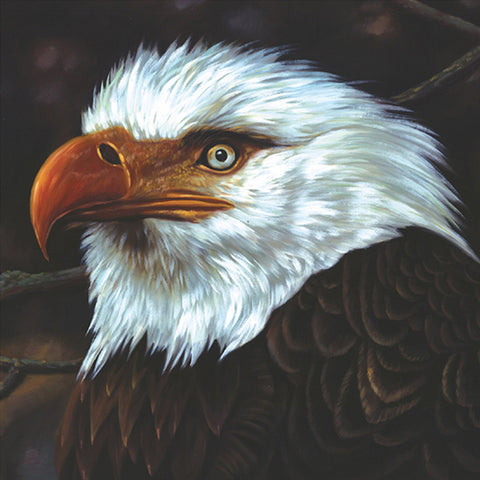 Mogwai - The Hawk Is Howling 2xLP