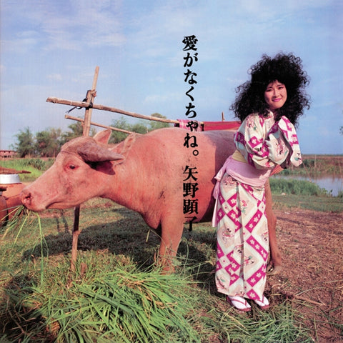 Akiko Yano - Ai Ga Nakucha Ne LP