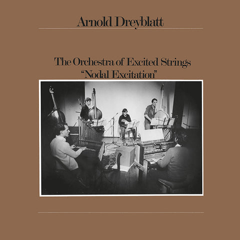 Arnold Dreyblatt - Nodal Excitation LP