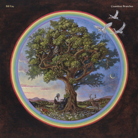 Bill Fay - Countless Branches (Deluxe Edition) 2xLP