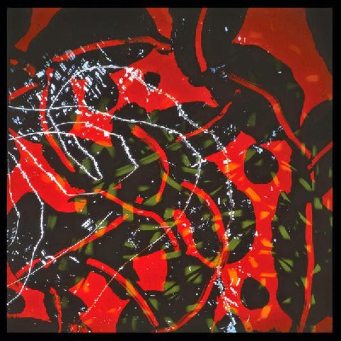 Brian Eno - Nerve Net 2xLP