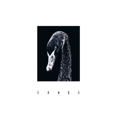 CoH - Cohgs LP