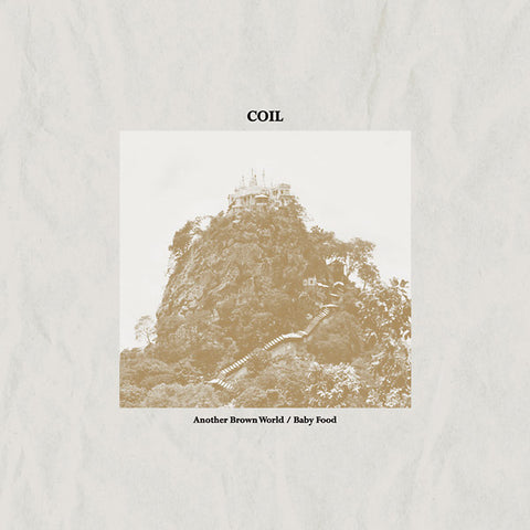 Coil - Another Brown World / Baby Food LP