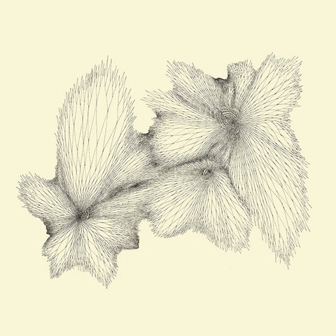 Eyvind Kang - Plainlight LP