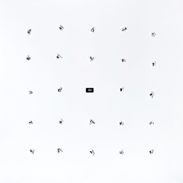 Ian William Craig / Kago Split Series 24 LP FatCat Stranded Records