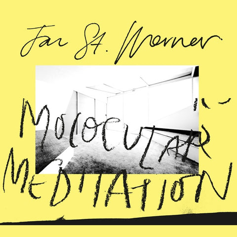 Jan St. Werner - Molocular Meditation LP