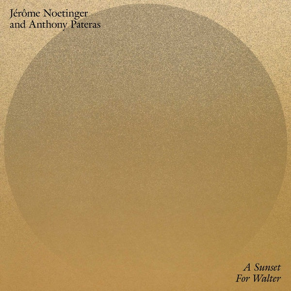 Jerome Noetinger & Anthony Pateras - A Sunset for Walter LP