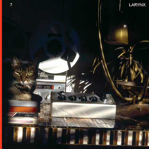 Lary 7 - Larynx 2xLP