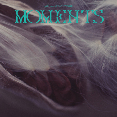 Michael Vincent Waller - Moments 2xLP