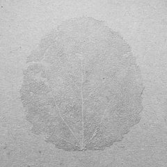 Murmer - Songs For Forgetting LP