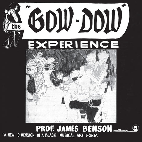 Prof. James Benson - The Gow-Dow Experience LP