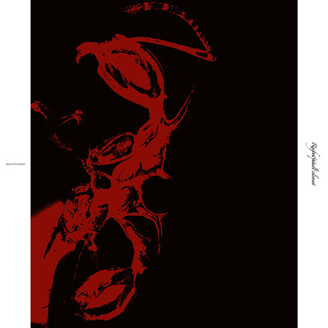 Rainforest Spiritual Enslavement - Red Ants Genesis 2xLP