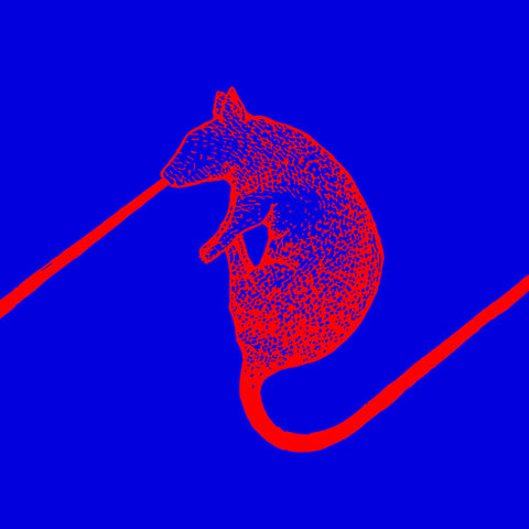 The Dwarfs Of East Agouza - Rats Don't Eat Synthesizers LP
