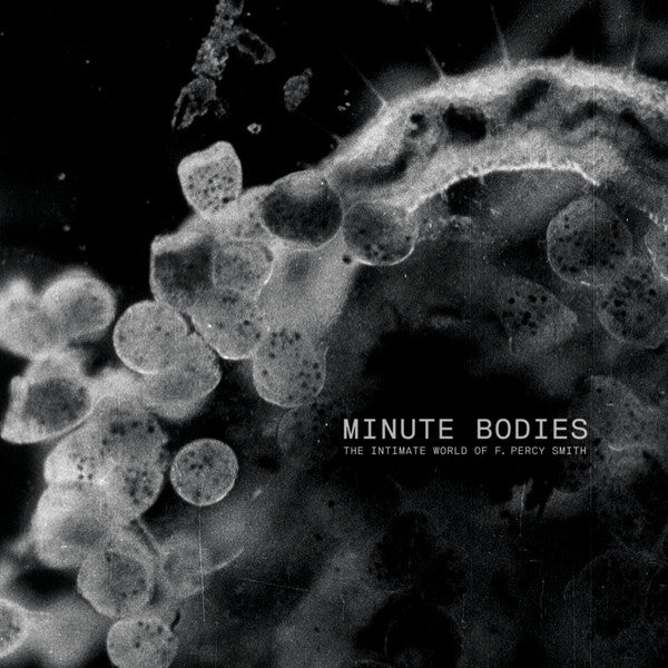 Tindersticks - Minute Bodies: The Intimate World of F. Percy Smith LP+DVD