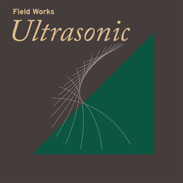 Ultrasonic - Field Works 2xLP