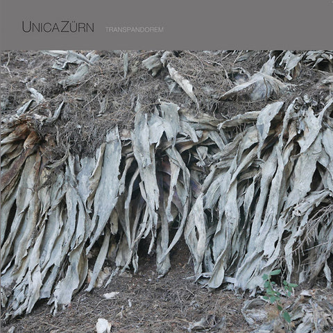 UnicaZurn - Transpandorem LP