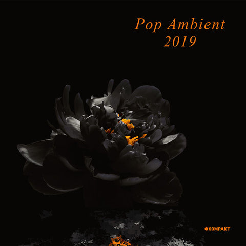 Various - Pop Ambient 2019 2xLP